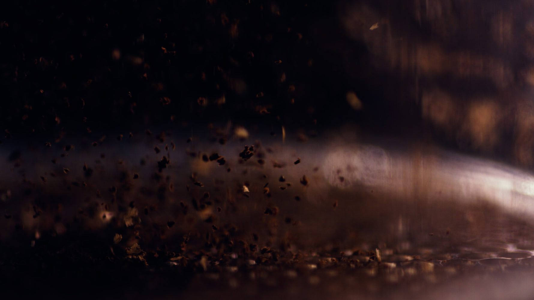 image of coffee grinds in a grinding chamber